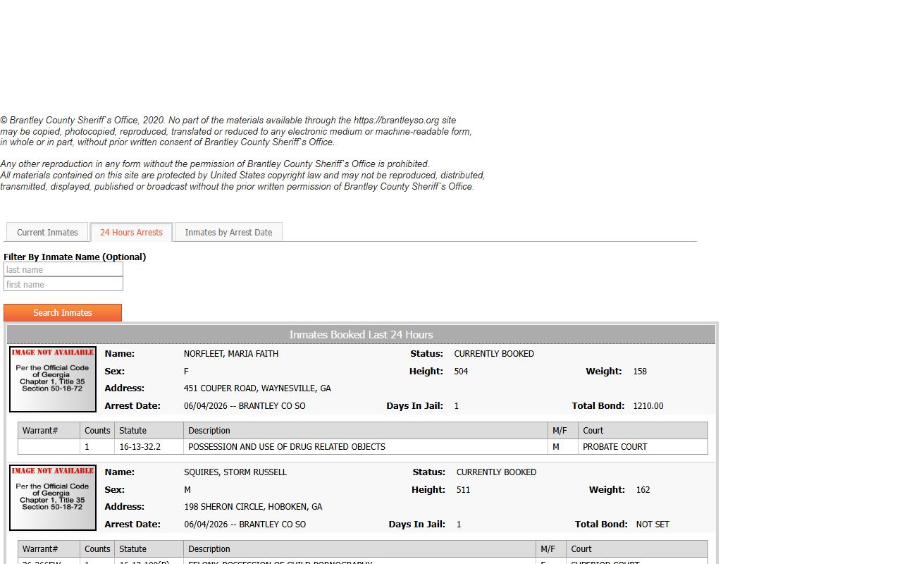 Brantley County inmate records 24 hour arrests roster tab